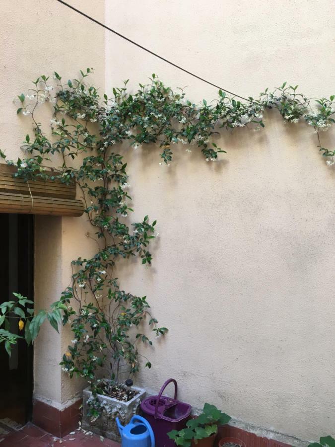 Vut Plaza Del Rastro Appartement Ávila Buitenkant foto